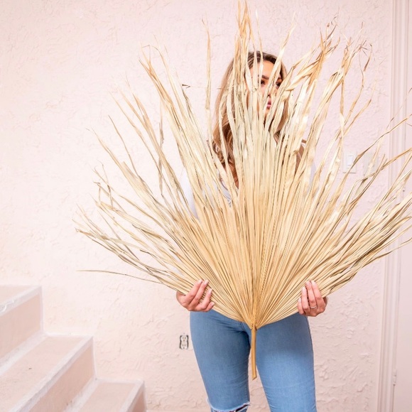 🌴 {10 Pack total }VeryLarge Organic Real Palm Leaves & Small Palm Leaves 🌴 - Picture 9 of 17